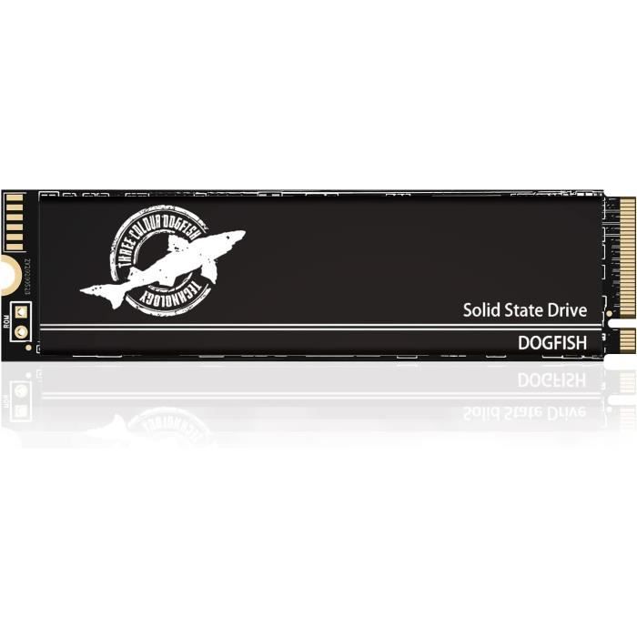SSD NVMe 4To Fanxiang S880E - 7300Mo/s Compatible PS5 & PC Gamer