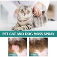 Pet Cat Moss Spray de soin de la peau Traitement professionnel de la teigne Maladies de la peau Soulagement des démangeaisons-1
