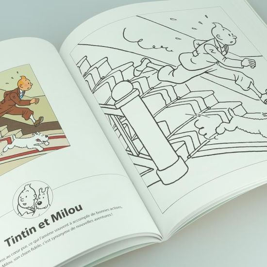 Livre Album A Colorier Tintin Et Les Personnages En Couleur 24367 2018 Cdiscount Beaux Arts Et Loisirs Creatifs