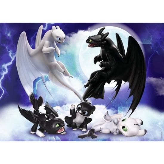 Puzzle 100 Pieces Dragons 3 Krokmou En Famille Avec Trieur De Pieces Nathan 6 Ans Et Achat Vente Puzzle Cdiscount