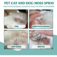 Pet Cat Moss Spray de soin de la peau Traitement professionnel de la teigne Maladies de la peau Soulagement des démangeaisons-2
