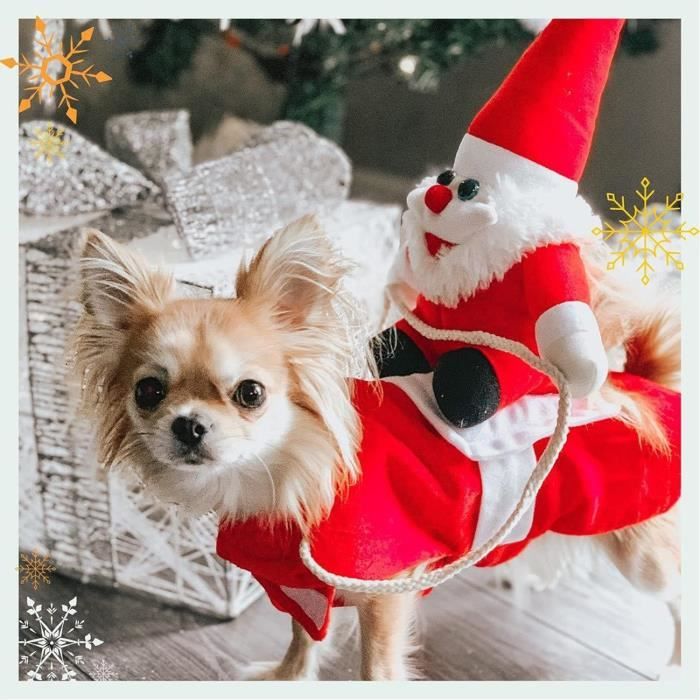 Habit de noel pour chien deals