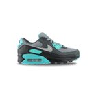 Basket Nike Air Max 90 Cool Grey Dm0029-013