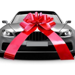 CarBowz Grand nœud cadeau de voiture, nœud géant à suspendre verticalement  pour portes et grands cadeaux, nœud de fête de Noël, nœud surprise  d'anniversaire (blanc avec crochet de porte) : : Santé