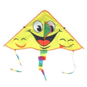 CERF-VOLANT ZERODIS Kite Flying Toys, cerf-Volant Triangulaire Exquis résistant à la déchirure avec poignée léger et Durable pour Les ac 117262