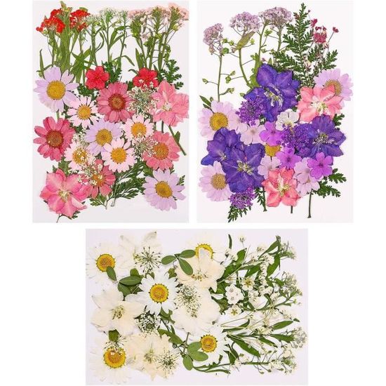Fleurs Séchées Naturelles En Vrac - Pour DIY Résine, Bijoux, Scrapbooking, Nails Art - Mélange De Couleurs