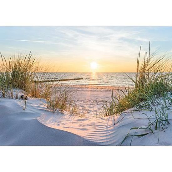 Muralo Papier Peint Photo Plage 210x315cm Intissé Océan Palmiers Colle Incluse