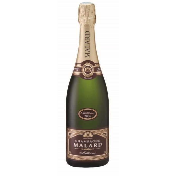Champagne Malard Millésimé Brut - 75 cl