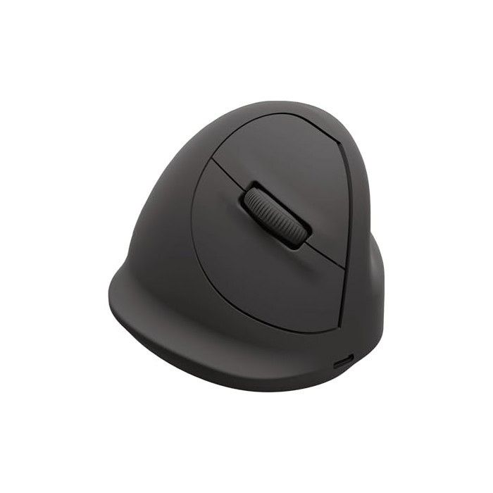 Fellowes 100143580 Universel Droitier Bluetooth + USB Type C Optique 2400 DPI