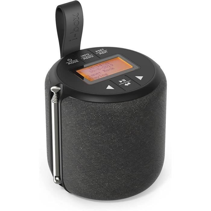 Radio Portable DAB-DAB Plus-FM avec Enceinte Bluetooth, Mini Poste ...
