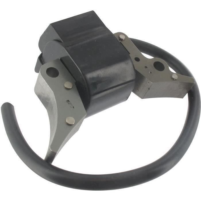 Bobine adaptable pour moteurs BRIGGS & STRATTON