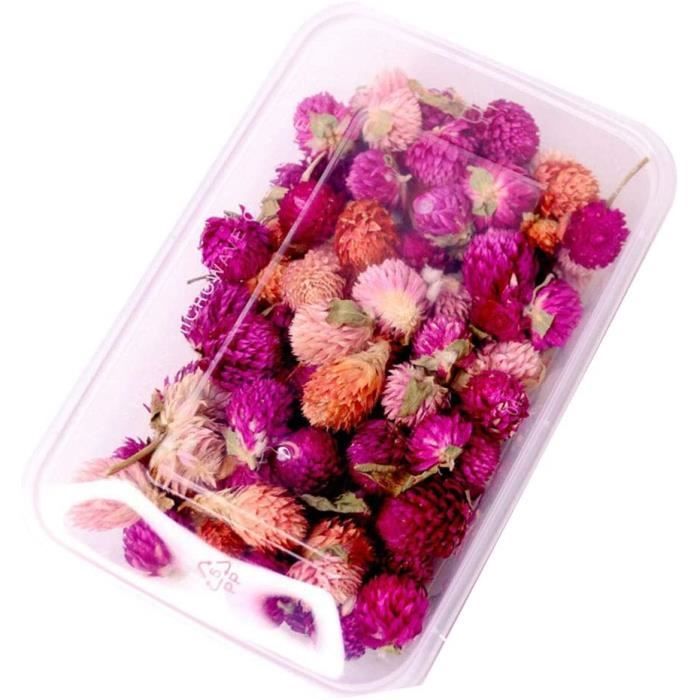 PATIKIL 48 Fleurs Séchées Pressées Naturelles Marguerite Rouge Rose - Pour DIY Résine, Ongles, Carte, Bougie, Déco Maison