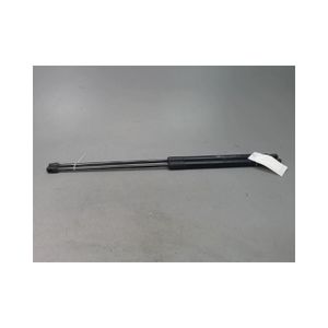 Scenic 3 Ressorts Hayon 2x Ressorts à Gaz Pour Hayon Citroën C4 Grand Picasso 2006 2013 Remplacement 8731n9 355248 Nissan Qashqai