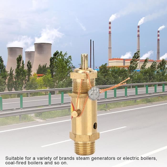 VIFERR Soupape Décharge Pression Compresseur - Pour Pulvérisateur 3L/5L/8L - Sécurité Air