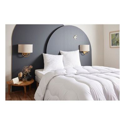 Lot De 2 Oreillers Mémoire De Forme Mixte Anti-acariens 60x60cm