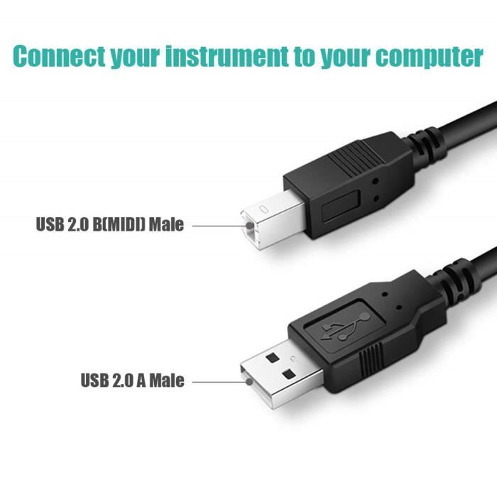 Câble MIDI USB B pour Instruments 1.8M, Câble USB A vers USB B Compatible  avec Piano, Contrôleur Midi, Clavier Midi, Interface [190] - Cdiscount  Téléphonie