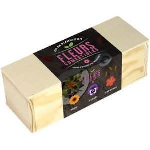 GRAINE - SEMENCE Kit de plantation, Fleurs comestibles, Souci, pensée et capucine 1 Orange [90]