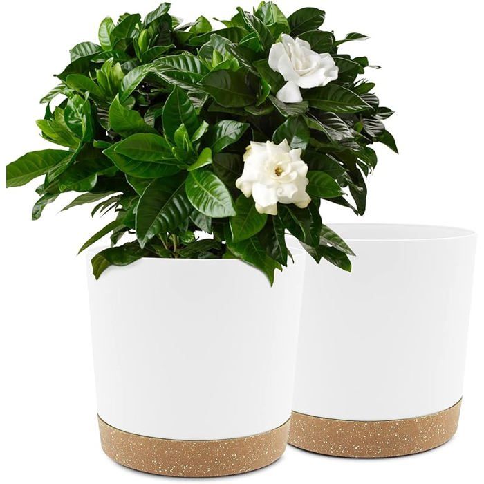 2 Pack 10 Inch Plant Pots Indoor Plant Pots with Drainage Holes and ...