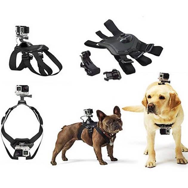 HARNAIS CHIEN POUR CAMERA GO-PRO GOPRO