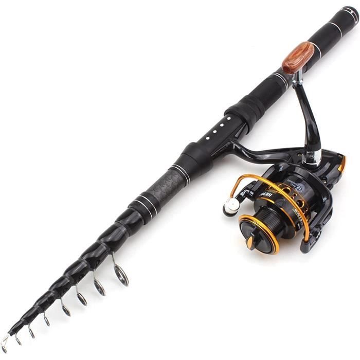 SOUGAYILANG Canne à Pêche Télescopique Portative De Voyage Canne à