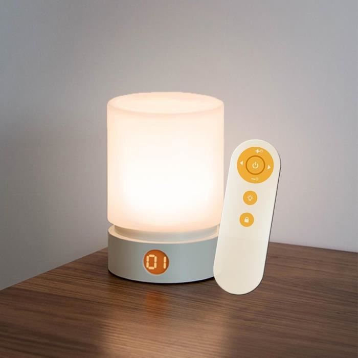 Déco Fenêtre LED Noël - Lot De 2 Guirlandes 60 LED Avec Télécommande, Minuterie, étanche IP44