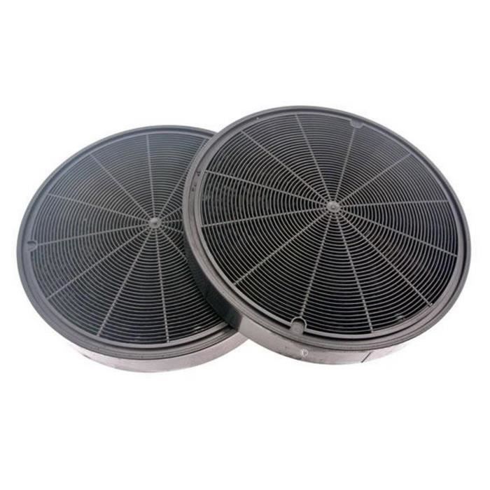 Lot de 2 filtres charbon type 196 (295552-3802) - Hotte - ROBLIN -  Cdiscount Electroménager