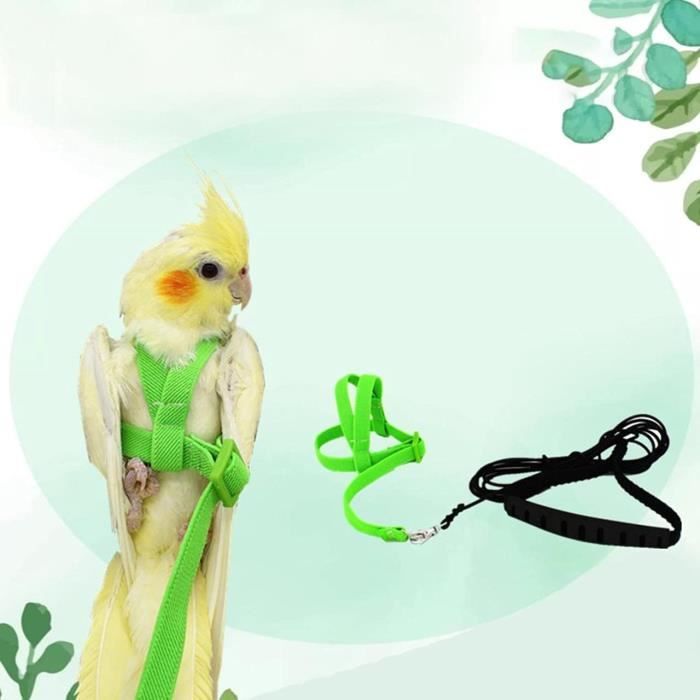 Harnais réglable Tbest Bird, beau harnais pour oiseaux laisse de harnais  pour oiseaux pour la maison pour femme 
