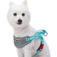 Blueberry Pet Gilet harnais pour chien rembourré avec bandes réfléchissantes, ajustable, poitrine 42cm-54cm Lac Bleu Petit, en nylon-0