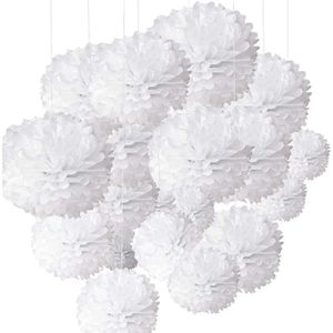 vlovelife 25,4 cm Papier de soie Pom Pompons en papier à fleurs pour mariage fête danniversaire de douche de bébé Décorations Lot de 10 ivoire