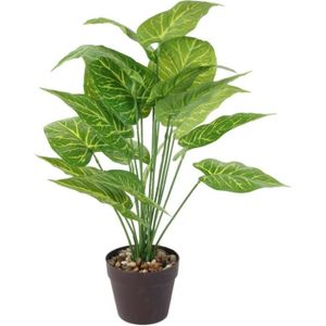 FLEUR ARTIFICIELLE Plante verte artificielle en pot 55 cm - Vert - Plastique - Entrée - Adulte - Mixte