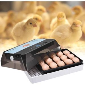 oiseaux et poules. Incubateur automatique pour 41 œufs avec régulateur dhumidité et inverseur intégré pour lincubation doies 