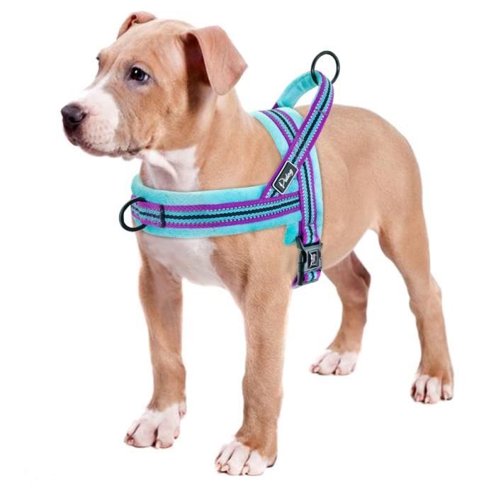 Couleur 3 bleu clair TAILLE L Harnais Réffléchissant en nylon Pour Chien, Pas de traction, Carlin Pitbull, Av