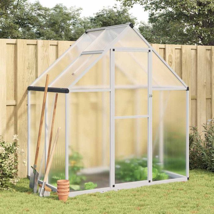 Serre - Aluminium - 169x114x195 cm - Protection contre le froid - Panneaux en polycarbonate