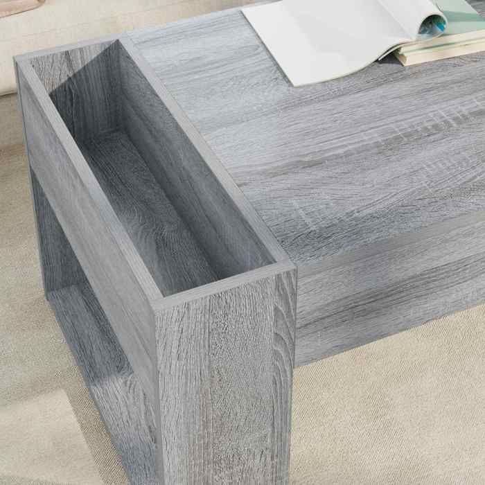 Table basse de salon élégant - ECOHOME - bois dingénierie - gris sonoma - 110 x 50 x 41 cm - 2 compartiments - Montage facile@74270