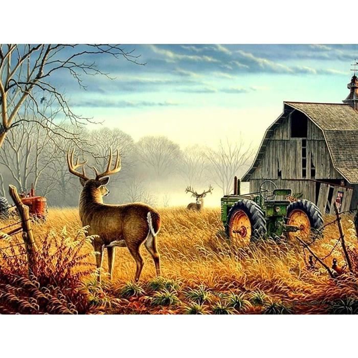 Kit Point de croix Wild & Free