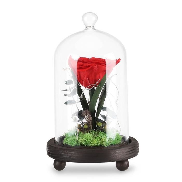 MEIHE Rose réel rouge Fleur immortelle Rose amer romantique amour fleur  avec LED éclairage couvercle en verre boîte en bois - Cdiscount Maison