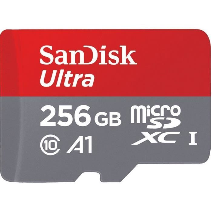 Sandisk ultra 256 Go Carte Mémoire Micro Micro SD MicroSDXC Class 10 UHS-I  120Mb/s - Cdiscount Appareil Photo