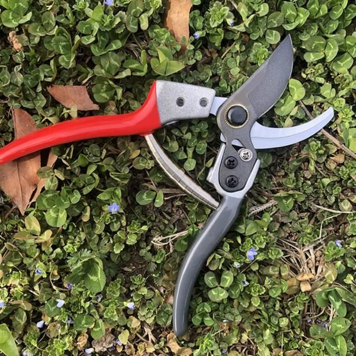 6 Ressorts De Rechange Pour Ciseaux De Jardin - 6/7/8 Cm - Acier Inoxydable - Installation Facile