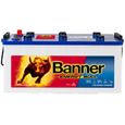 Banner 96801 Energy Bull Batteries Décharge Lente 230Ah-2