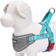 Blueberry Pet Gilet harnais pour chien rembourré avec bandes réfléchissantes, ajustable, poitrine 42cm-54cm Lac Bleu Petit, en nylon-2
