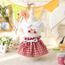 Robe Jupe Robe Princesse En Tissu Ecossais Cerise Robe Tutu Pour Chien Chat Vetements D Ete Pour Petits Chiens Type Rouge L Achat Vente Robe Jupe Robe Princesse En Tissu Ecossa