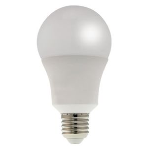 ampoule led e27 lumiere du jour cdiscount