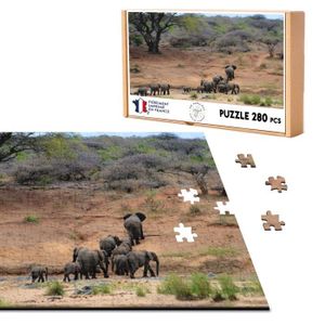 FH Trou d'arrosage sur la Savane Africaine Puzzle Cadre avec pièces 500  pièces[662] - Cdiscount Jeux - Jouets