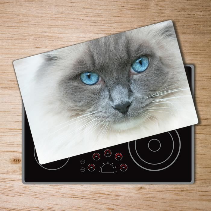Tulup Glass Planche a découper avec couvercle protecteur pour cuisine résistant chaleur 80x52 cm - „Chat Aux Yeux Bleus”