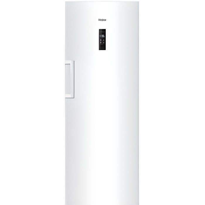 Congélateur armoire H2F320WF