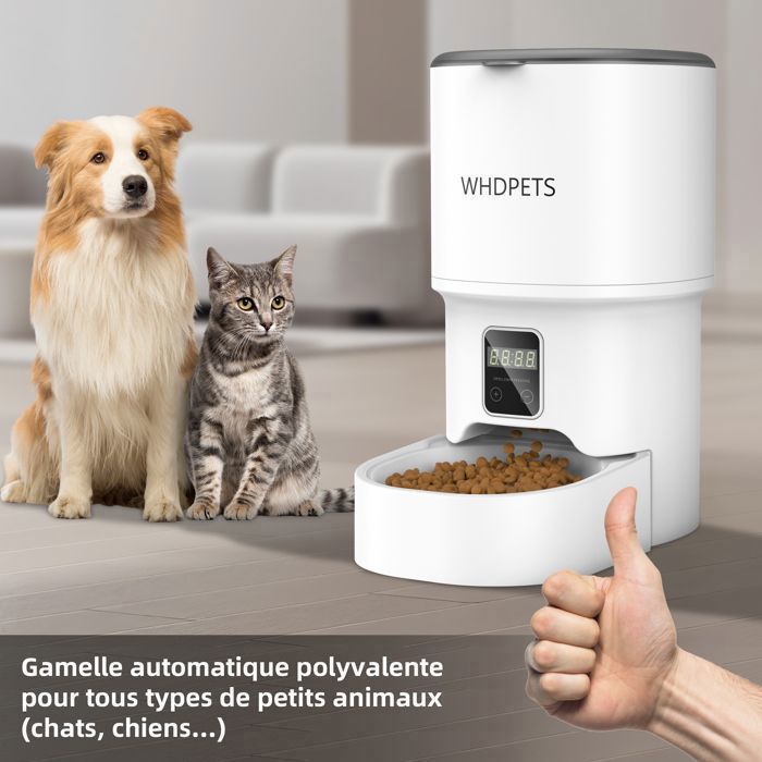 ®WHD© 4L Distributeur Automatique Croquettes Chat Programmable 1-6 Repas/Jour Minuterie + Mémoire 10s Couvercle Pressé