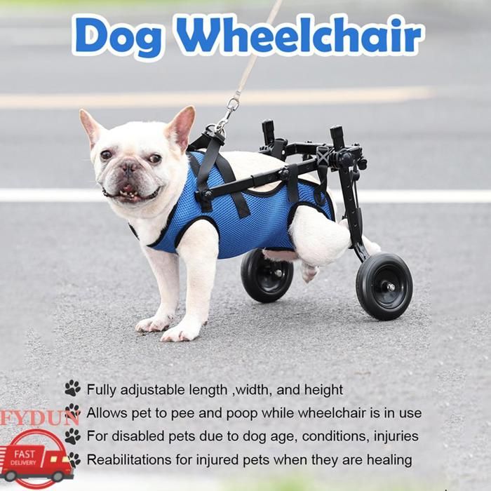 FYDUN Fauteuil roulant pour chiens pour pattes arrières petites Fauteuil roulant pour chiens pour pattes animalerie kit Bleu M