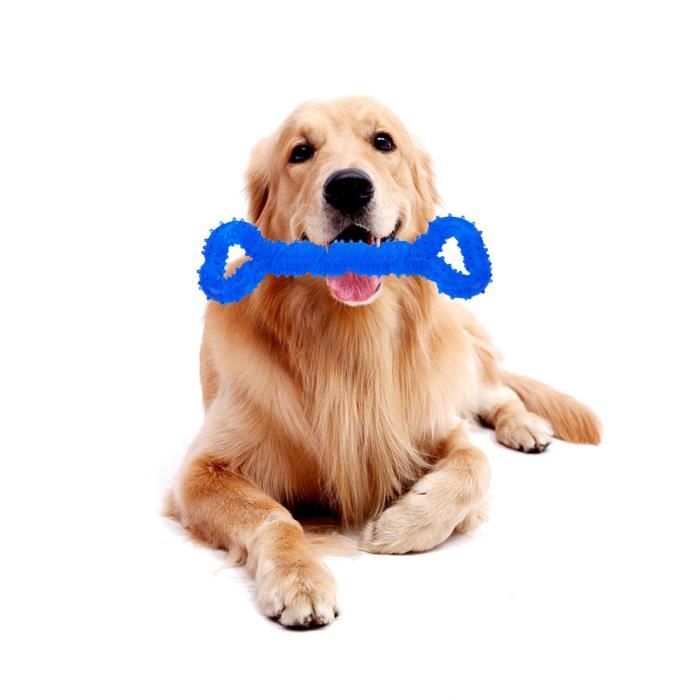 jouet indestructible pour chien