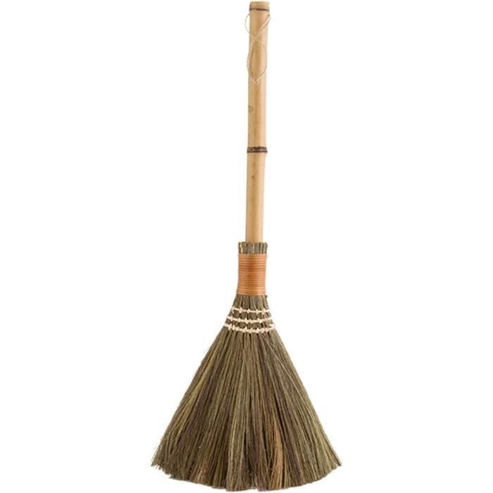 La Briantina Mondex Universal Spider Broom Dust Catcher for Cobwebs
