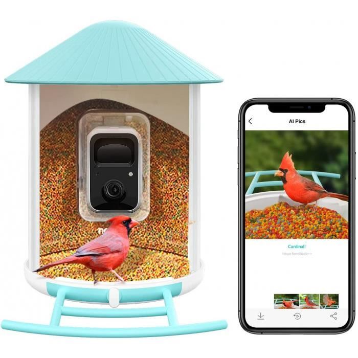 caméra de mangeoire oiseaux exterieur, caméra d'oiseaux, ai reconnaissance  des espèces d'oiseau, caméra wifi à batterie, capture aut